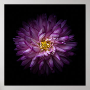 Bloemen 20 poster