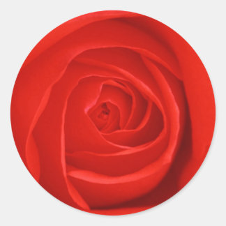 Bloemen 55 ronde sticker