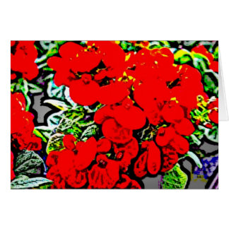 Bloemen 6