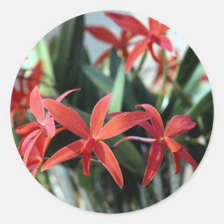 Bloemen 99 ronde sticker