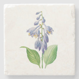 Bloemen: A012 Daylily Stenen Onderzetter