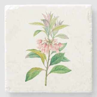 Bloemen: A013 Redvein Enkianthus - Stenen Onderzetter