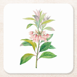 Bloemen: A013 Redvein Enkianthus - Vierkante Kartonnen Onderzetter