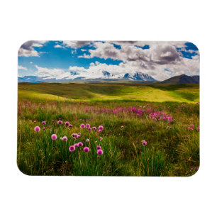 Bloemen   Altai-bergen, Siberië, Rusland Magneet
