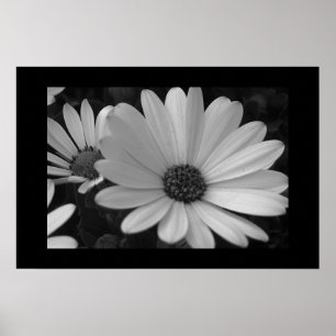 Bloemen B&W Poster