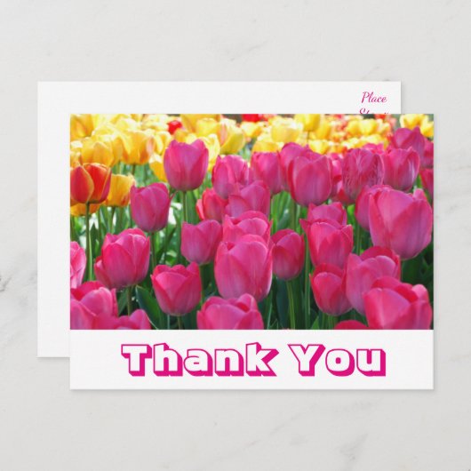 Bloemen Bedankt Geel & Roze Tulp Bloemen Briefkaart (Voorkant / Achterkant)