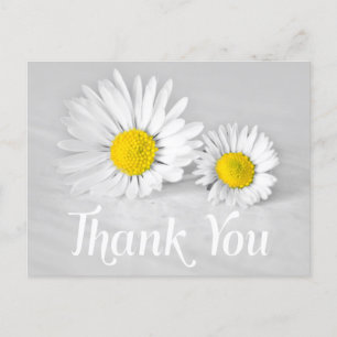 Bloemen Bedankt Witte madeliefjes Witte bloemen Gr Briefkaart