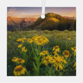 Bloemen | Bergbeemdommen Butte Colorado Glas Ornament (Achterkant)