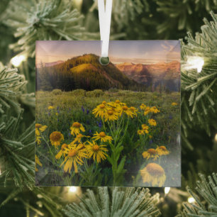 Bloemen Bergbeemdommen Butte Colorado Glas Ornament