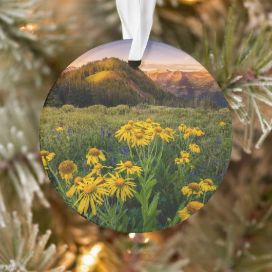 Bloemen | Bergbeemdommen Butte Colorado Ornament (Boom)