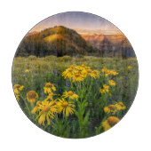 Bloemen | Bergbeemdommen Butte Colorado Snijplank (Voorkant)