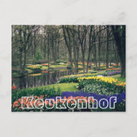 Bloemen bij Keukenhof, bos en kanaal