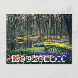 Bloemen bij Keukenhof, bos en kanaal Briefkaart