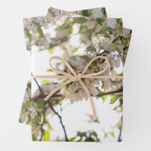 bloemen bijen inpakpapier vel