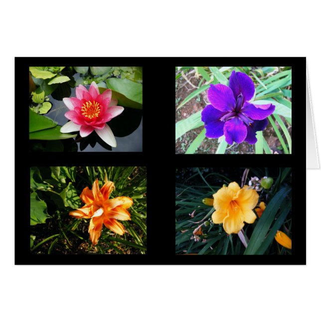  bloemen, blanco (Voorkant Horizontaal)