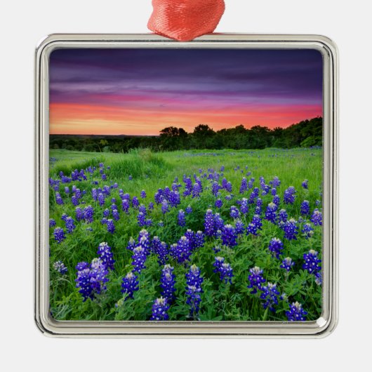 Bloemen | Blauwbijen in Sunset Texas Metalen Ornament (Voorkant)