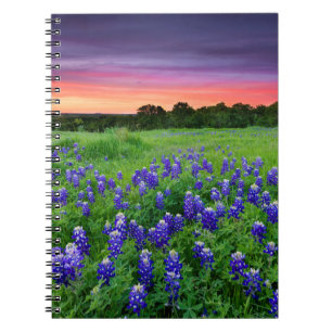 Bloemen   Blauwbijen in Sunset Texas Notitieboek