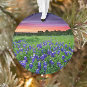 Bloemen   Blauwbijen in Sunset Texas Ornament