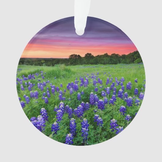 Bloemen | Blauwbijen in Sunset Texas Ornament (voorkant)