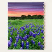 Bloemen | Blauwbijen in Sunset Texas Planner (Achterkant)