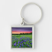 Bloemen | Blauwbijen in Sunset Texas Sleutelhanger (Voorkant)