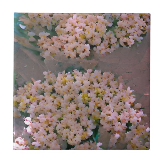 Bloemen bloemen witte en roze digitale kunst tegeltje (Voorkant)