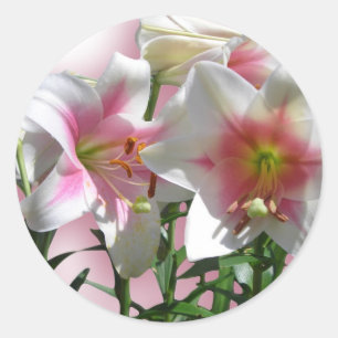 Bloemen Bloesems Spring Garden Love Shower Party Ronde Sticker