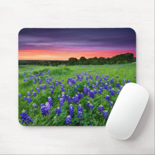 Bloemen Bluebonnets bij zonsondergang Texas Muismat