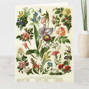 Bloemen Botanicals Kaart