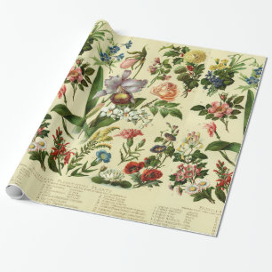  Bloemen Botanische producten Cadeaupapier