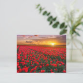 Bloemen | Botanische tuin Holland Briefkaart (Staand voorkant)