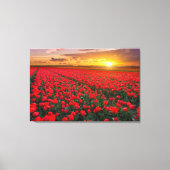 Bloemen | Botanische tuin Holland Canvas Afdruk (Voorkant)