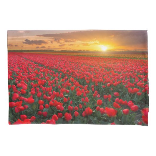 Bloemen | Botanische tuin Holland Kussensloop (Voorkant)