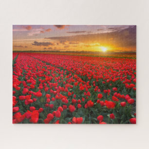 Bloemen Botanische tuin Holland Legpuzzel