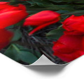 Bloemen | Botanische tuin Holland Poster (Hoek)