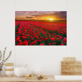 Bloemen | Botanische tuin Holland Poster (Keuken)