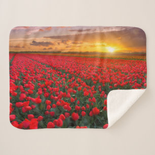 Bloemen   Botanische tuin Holland Sherpa Deken