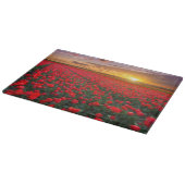 Bloemen | Botanische tuin Holland Snijplank (Hoek)