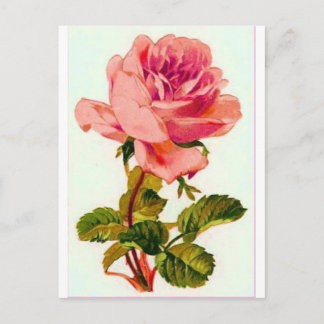 Bloemen Briefkaart
