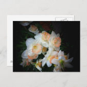 bloemen briefkaart (Voorkant / Achterkant)