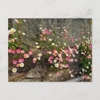 Bloemen briefkaart