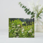 Bloemen Briefkaart (Staand voorkant)