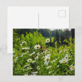 Bloemen Briefkaart (Voorkant / Achterkant)