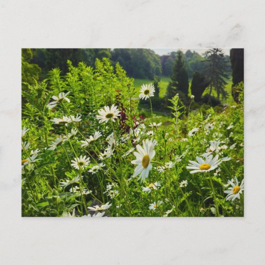 Bloemen Briefkaart (Voorkant)