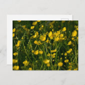 Bloemen Briefkaart (Voorkant / Achterkant)