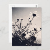 Bloemen Briefkaart (Voorkant / Achterkant)