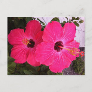 bloemen briefkaart