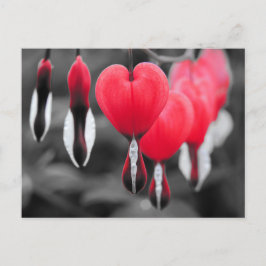 Bloemen Briefkaart