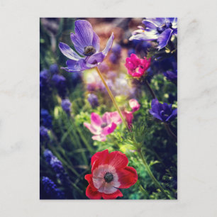 Bloemen Briefkaart