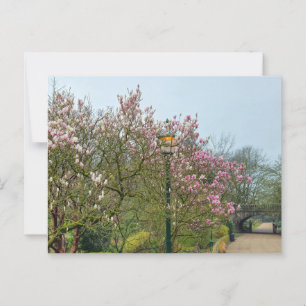 Bloemen Briefkaart